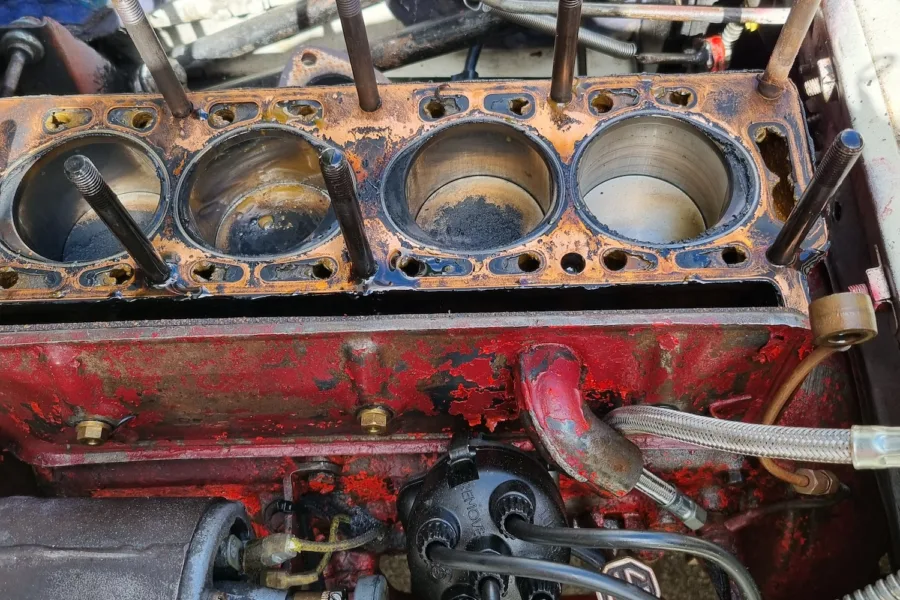 1952 MG TD Midget - 2nd August 2024 - 3